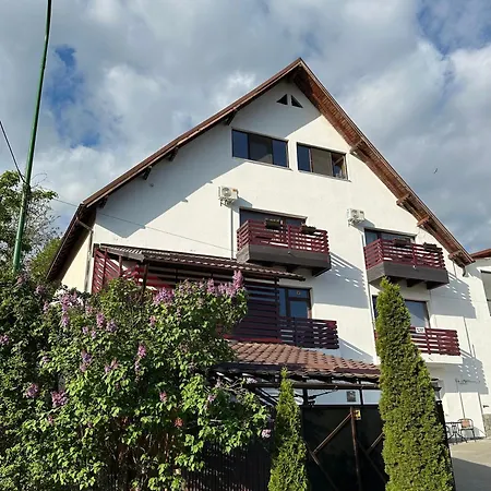Apartment Gusti Jr