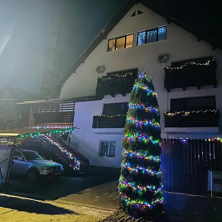 Apartament Gusti Jr *